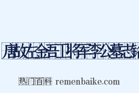 唐故左金吾卫将军李公墓志铭是什么意思的图片